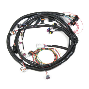 HOLLEY EFI LS2 3 AND 7 MAIN HARNESS